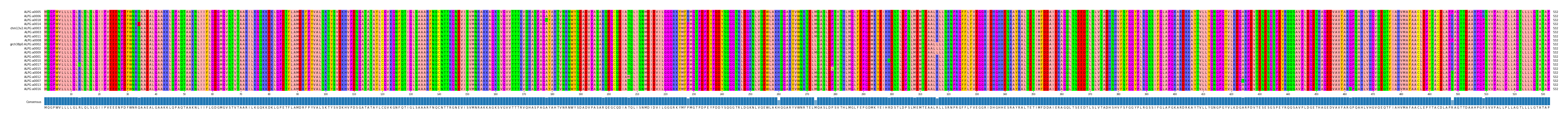 Multiple Alignments (by translate haplotype similarity)