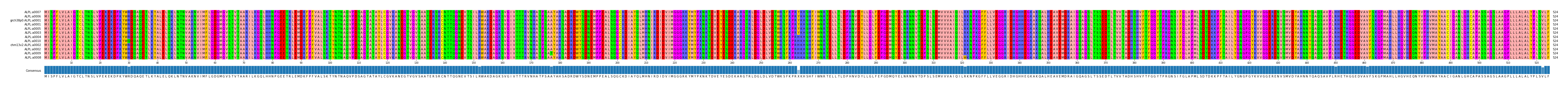 Multiple Alignments (by translate haplotype similarity)