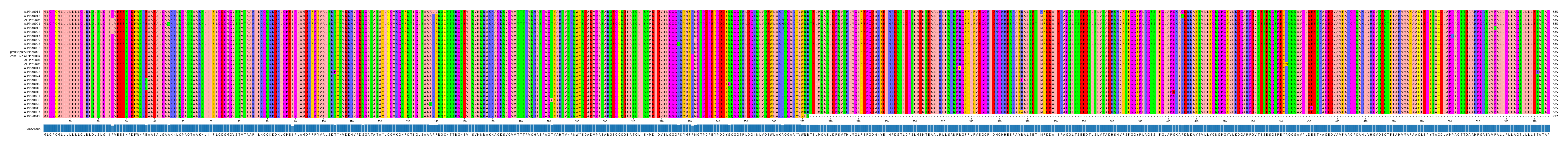 Multiple Alignments (by translate haplotype similarity)