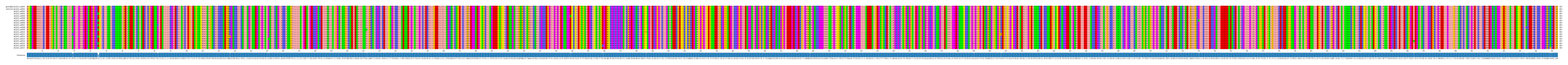 Multiple Alignments (by translate haplotype frequency)