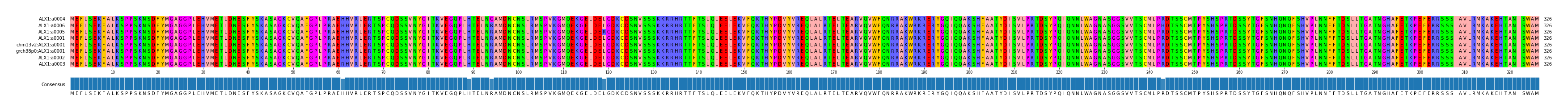 Multiple Alignments (by translate haplotype similarity)
