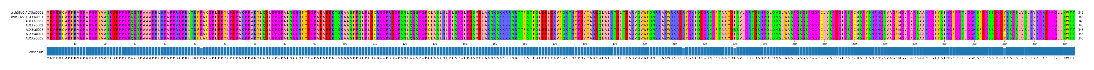 Multiple Alignments (by translate haplotype frequency)