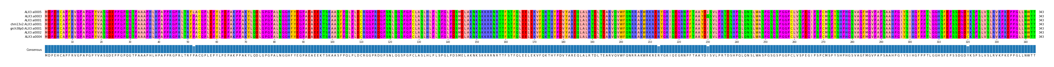 Multiple Alignments (by translate haplotype similarity)