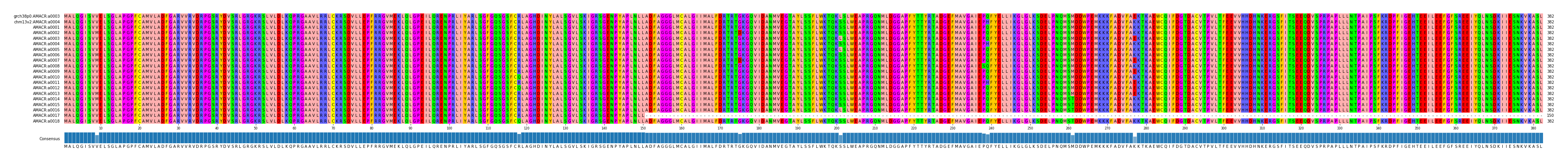 Multiple Alignments (by translate haplotype frequency)