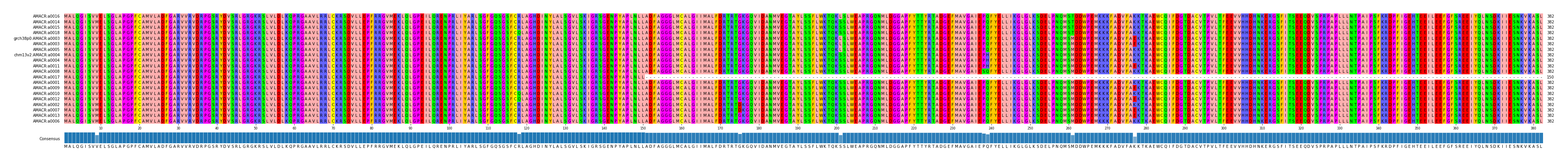 Multiple Alignments (by translate haplotype similarity)