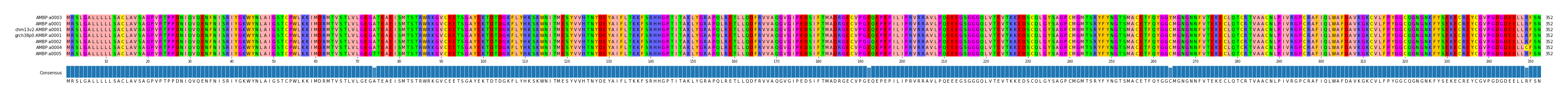 Multiple Alignments (by translate haplotype similarity)