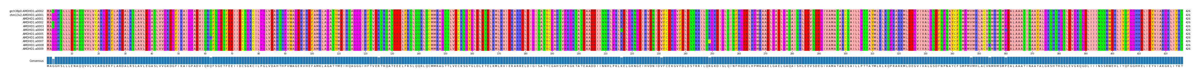 Multiple Alignments (by translate haplotype frequency)