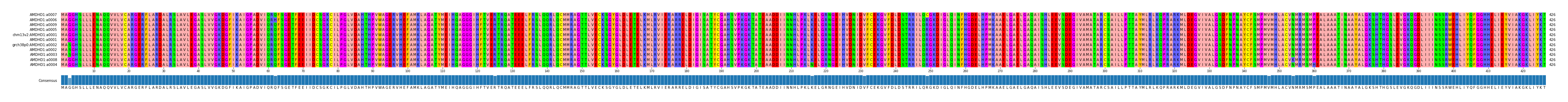 Multiple Alignments (by translate haplotype similarity)