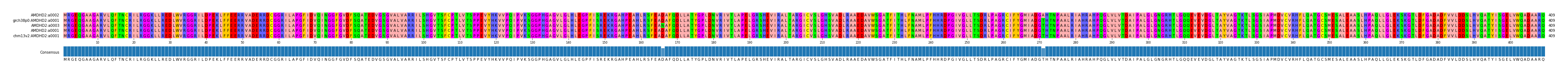 Multiple Alignments (by translate haplotype similarity)
