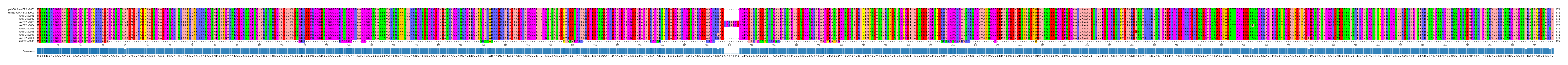 Multiple Alignments (by translate haplotype frequency)