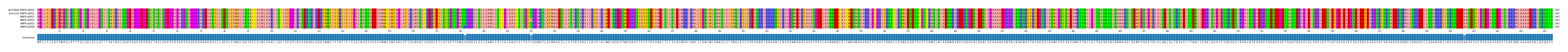 Multiple Alignments (by translate haplotype frequency)
