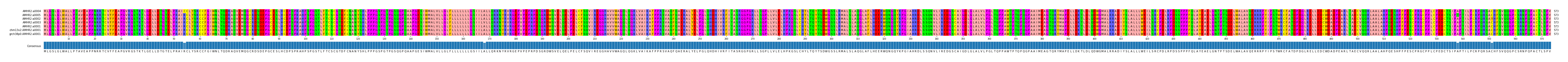 Multiple Alignments (by translate haplotype similarity)