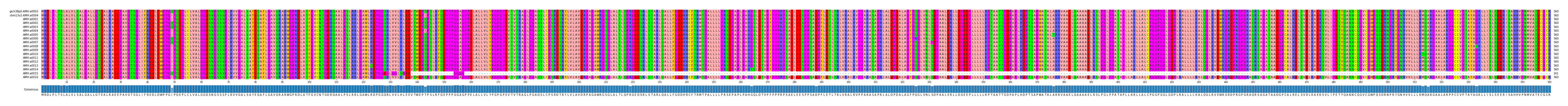 Multiple Alignments (by translate haplotype frequency)