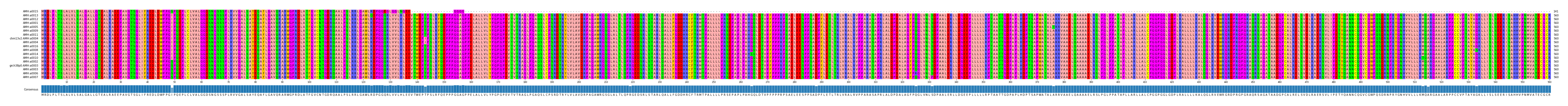 Multiple Alignments (by translate haplotype similarity)