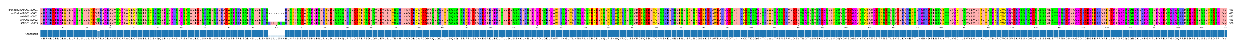 Multiple Alignments (by translate haplotype frequency)