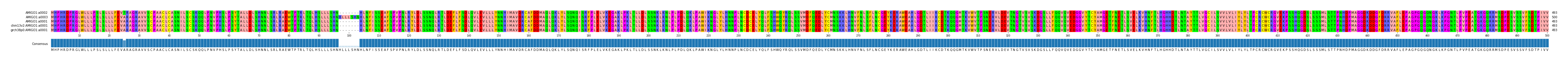 Multiple Alignments (by translate haplotype similarity)