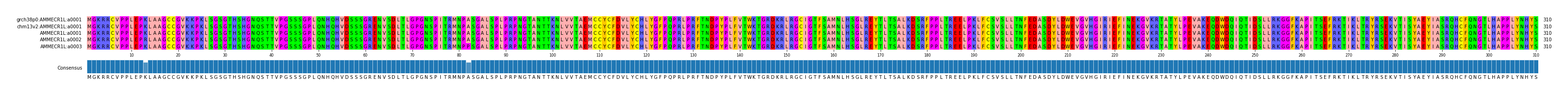 Multiple Alignments (by translate haplotype frequency)