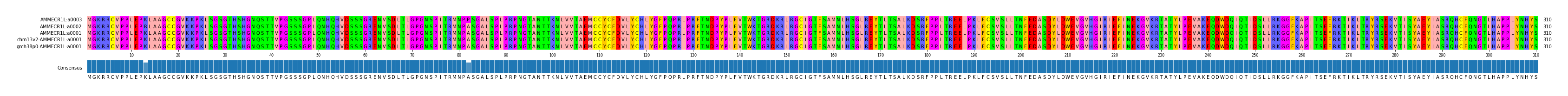 Multiple Alignments (by translate haplotype similarity)