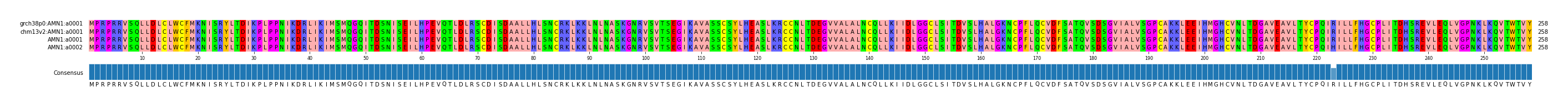 Multiple Alignments (by translate haplotype similarity)