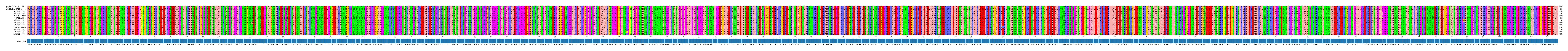 Multiple Alignments (by translate haplotype frequency)