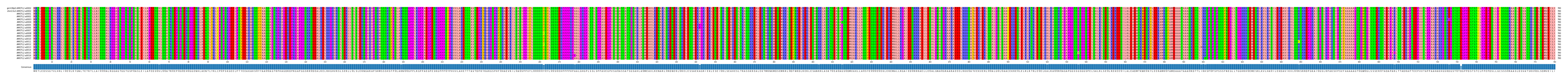 Multiple Alignments (by translate haplotype frequency)