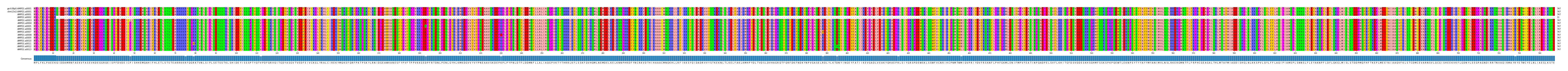 Multiple Alignments (by translate haplotype frequency)