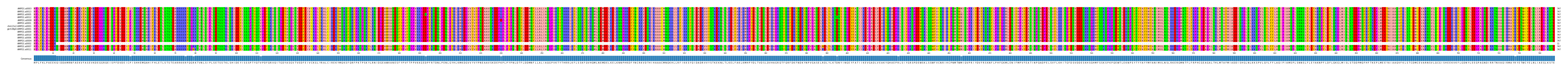 Multiple Alignments (by translate haplotype similarity)