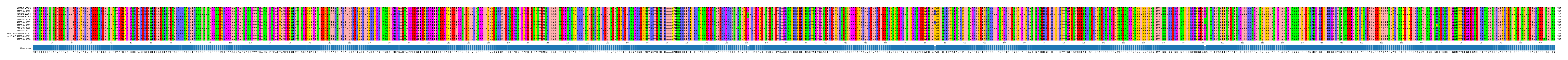 Multiple Alignments (by translate haplotype similarity)