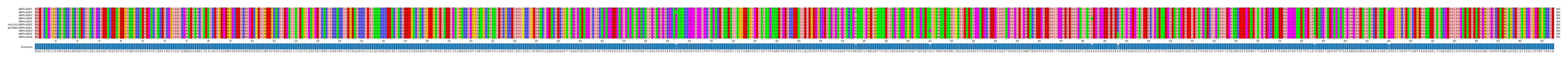Multiple Alignments (by translate haplotype similarity)