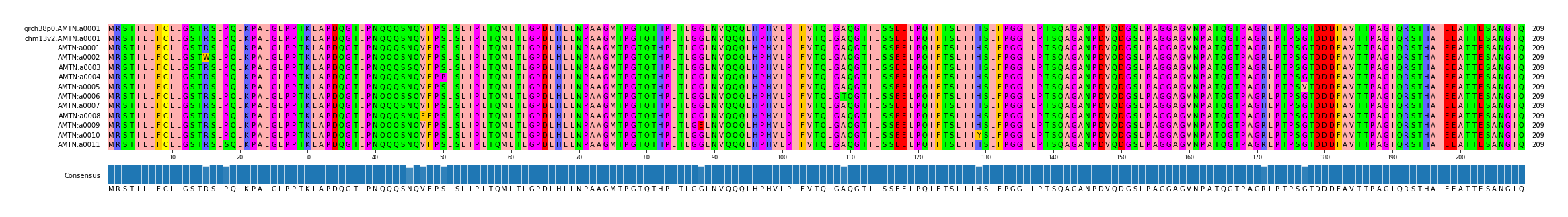 Multiple Alignments (by translate haplotype frequency)