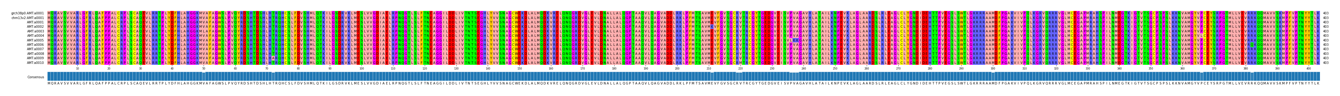 Multiple Alignments (by translate haplotype frequency)