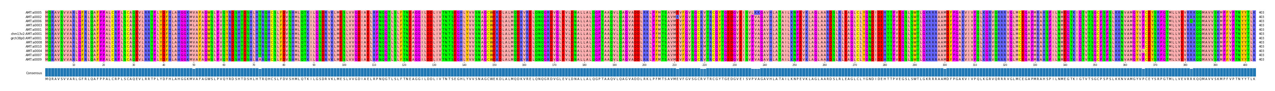 Multiple Alignments (by translate haplotype similarity)