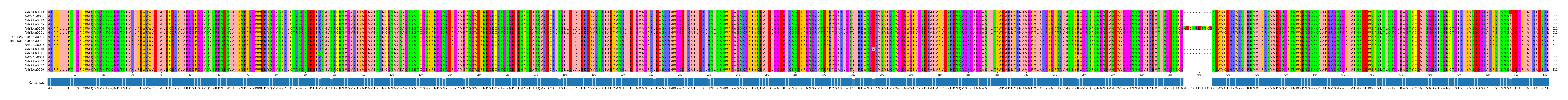 Multiple Alignments (by translate haplotype similarity)
