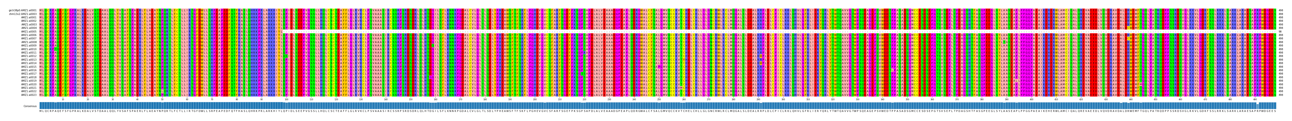 Multiple Alignments (by translate haplotype frequency)