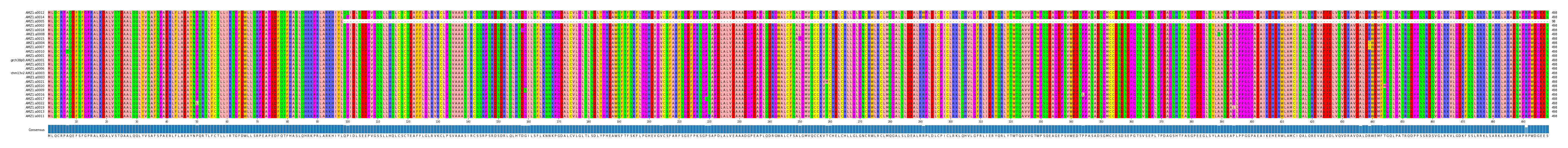 Multiple Alignments (by translate haplotype similarity)