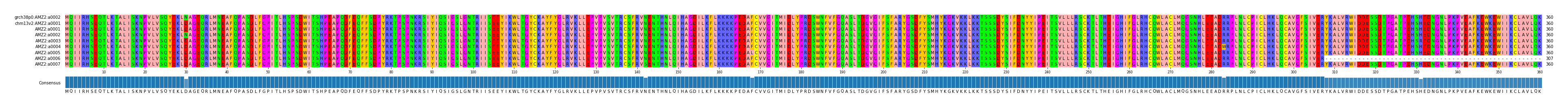 Multiple Alignments (by translate haplotype frequency)