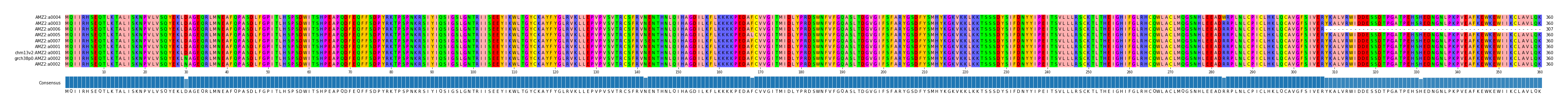 Multiple Alignments (by translate haplotype similarity)