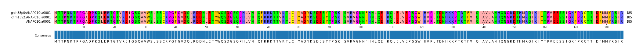 Multiple Alignments (by translate haplotype similarity)