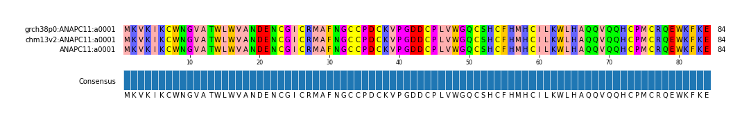 Multiple Alignments (by translate haplotype similarity)