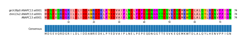Multiple Alignments (by translate haplotype similarity)