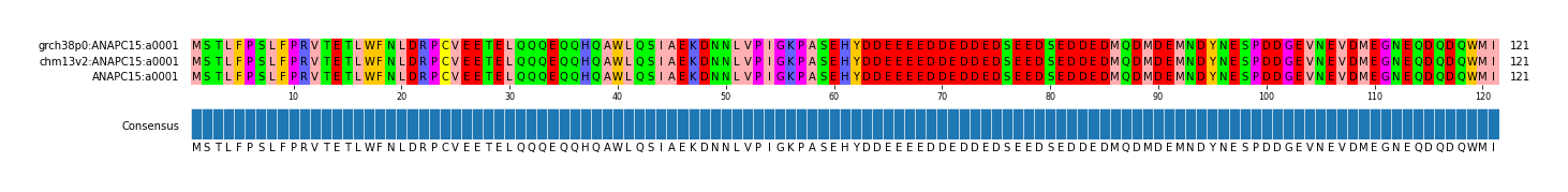 Multiple Alignments (by translate haplotype frequency)