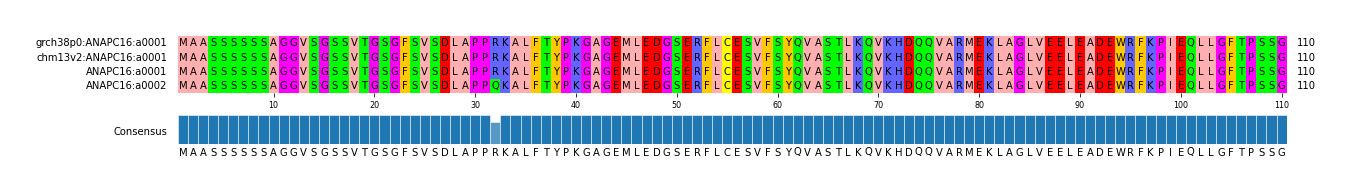 Multiple Alignments (by translate haplotype similarity)