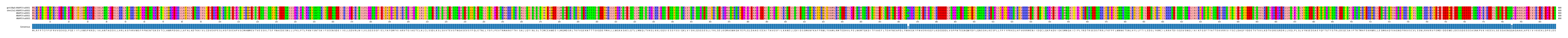Multiple Alignments (by translate haplotype frequency)
