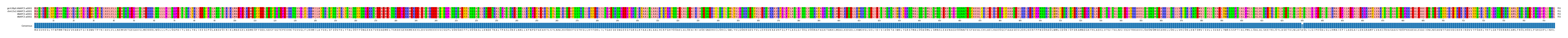 Multiple Alignments (by translate haplotype frequency)