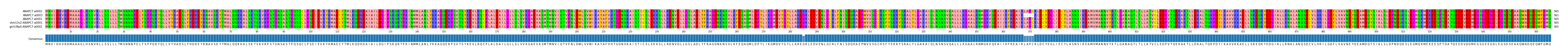 Multiple Alignments (by translate haplotype similarity)