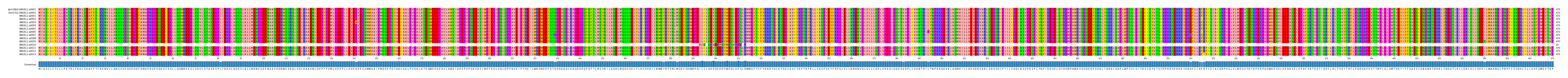Multiple Alignments (by translate haplotype frequency)