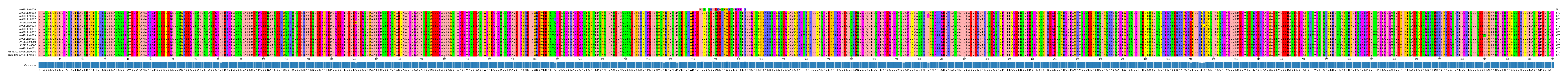 Multiple Alignments (by translate haplotype similarity)