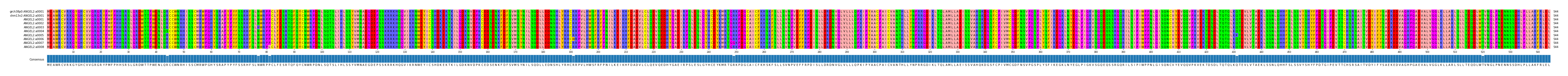 Multiple Alignments (by translate haplotype frequency)