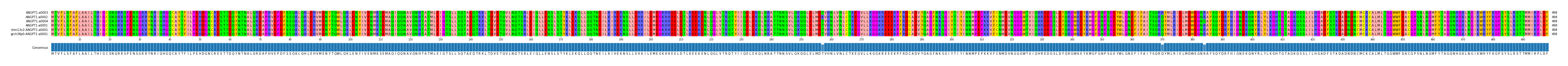 Multiple Alignments (by translate haplotype similarity)