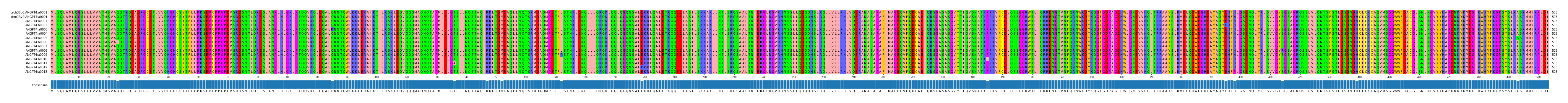 Multiple Alignments (by translate haplotype frequency)